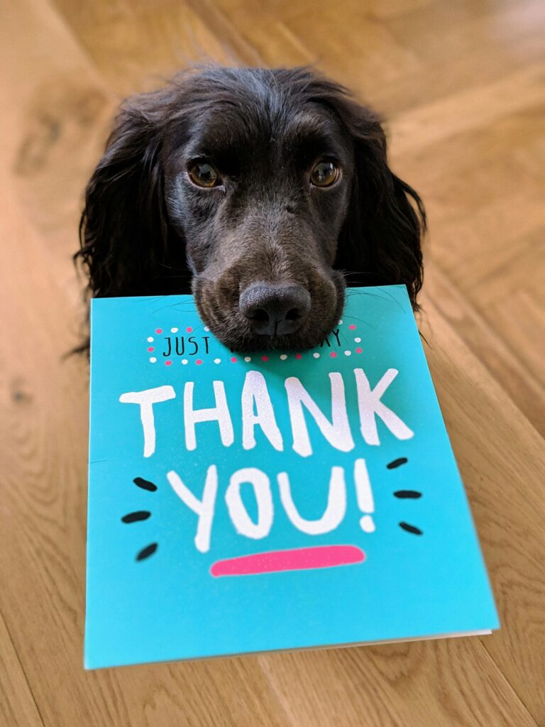 Donation Confirmation Page Photo