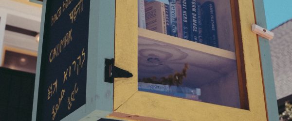 eliot-peper-9KVEC-R8gFM-unsplash closed brown and gray Little Free Library