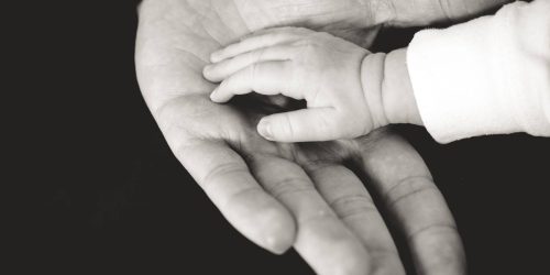 child and parent hands photography